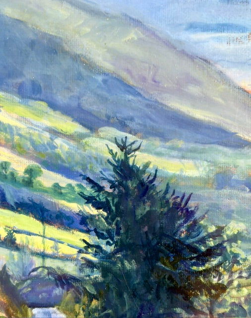 Old Rostrevor Farmhouse Print