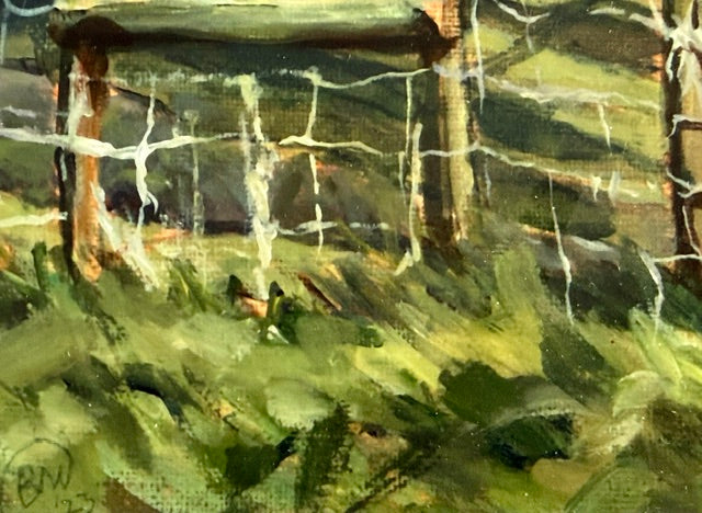 View across the Mournes Print