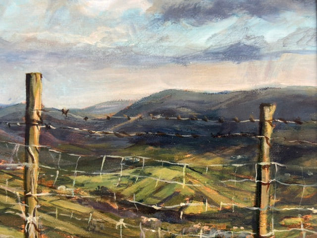 View across the Mournes Print