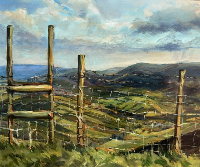 View across the Mournes Print